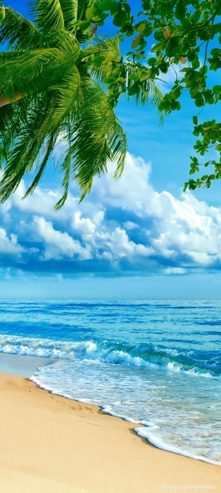 Откровение.

Откровения тают во мгле недоверия,
Горизонты всё манят и режут терпение,
Звезда всё горит,но за тучами грозными,
Птица парит,но она нарисована.

И утихают в зеркале страсти,
Снова в зубах одиночества пасти,
Тату вновь напомнит о счастье былом,
Где лебедь взлетает с белым крылом.

Что-то приснилось,что-то привидилось,
Что-то разбилось,но это лишь видимость,
Ледяная душа видит красок цветы,
А за цветами вновь прячешься ты.

Спорят решетки с орлом или решкой,
Ходит вновь ферзь,будучи пешкой,
Часы-каплей звонкой,словно набат,
Вот уже шах,а скоро и мат.

Глупый король в угол забился,
Пора расплатиться,да с пути сбился,
В Небо стучаться уже бесполезно,
Ответят опять,что всё было честно.

Ветер гуляет,да лампа скрипит,
Никто не узнает,да разум кипит,
Но выкипают все сложные мысли,
И всё засыпает-Рай ведь так близко.