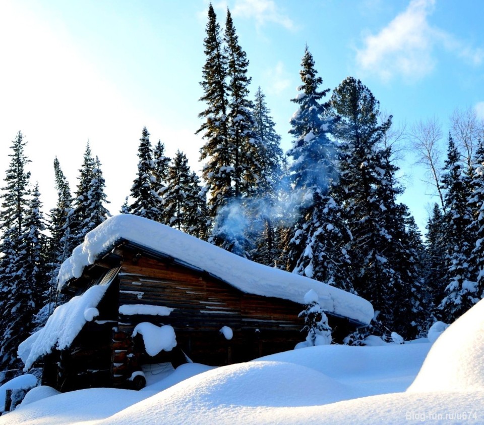 Зимовье в лесу